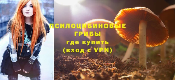 таблы Алзамай