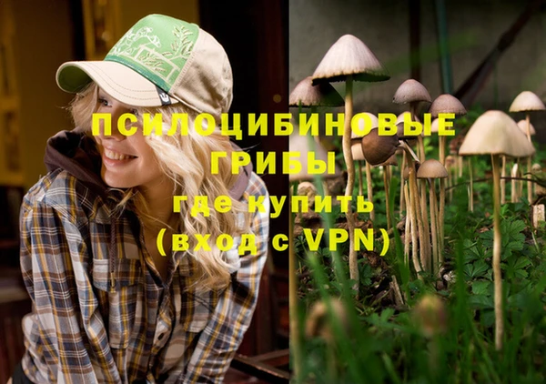 таблы Алзамай