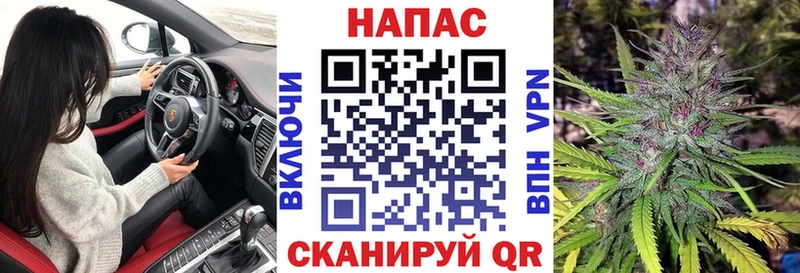 Канабис планчик  где найти   Борзя 